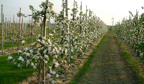 een betrouwbaar productiesysteem
