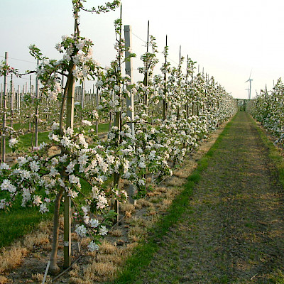 een betrouwbaar productiesysteem