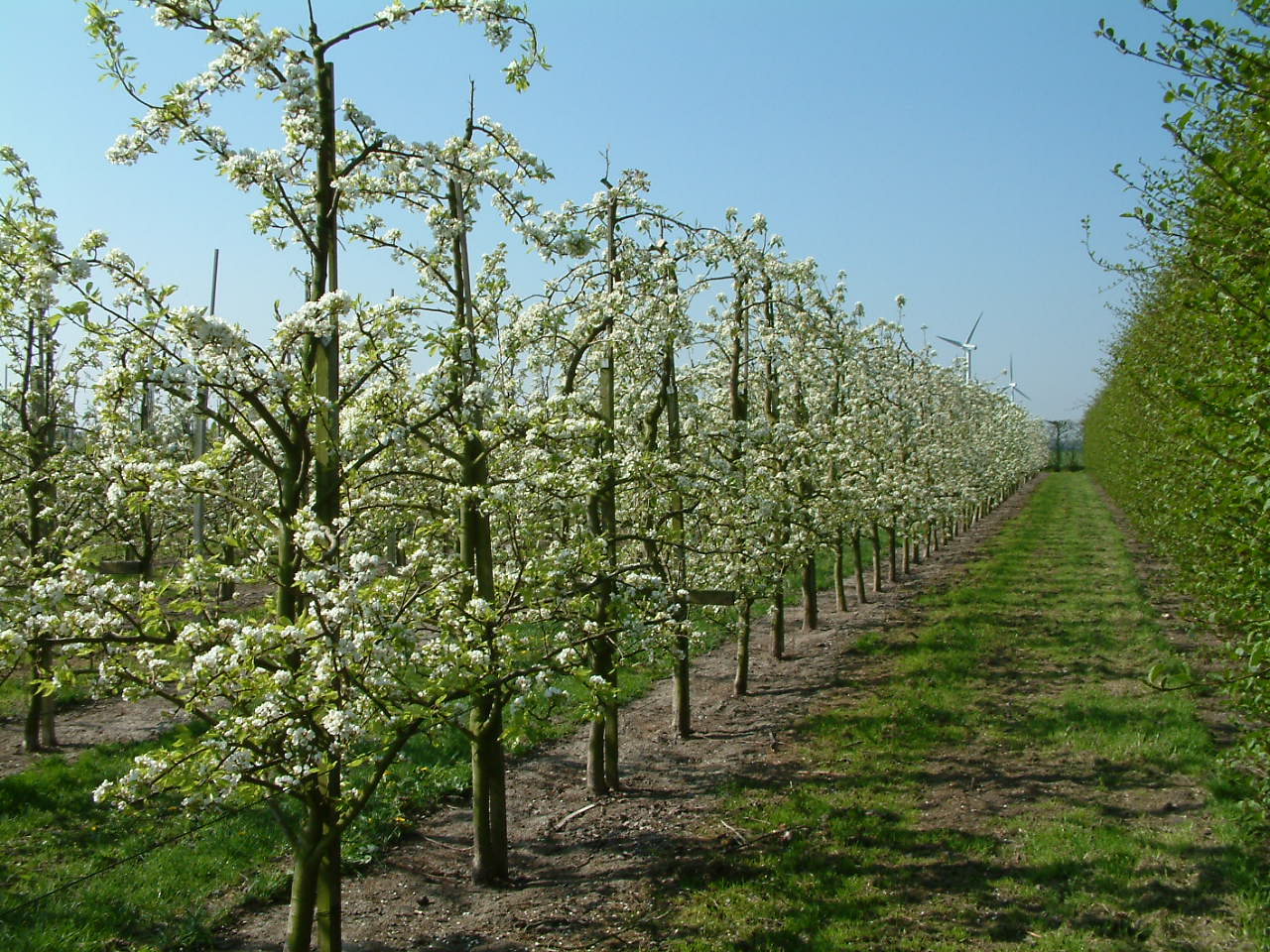 kopie_van_2004_april_001